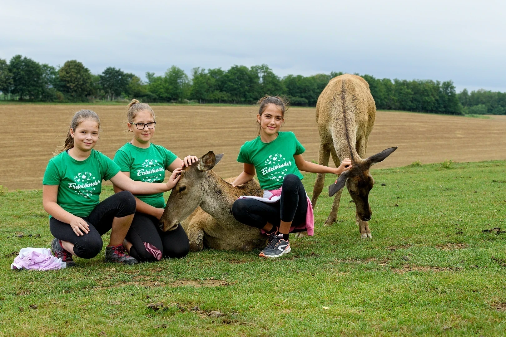 Mi az az erdei vándortábor?